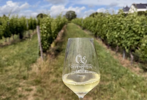 Sommerfest 2025 – Ein Tag im Rheingau