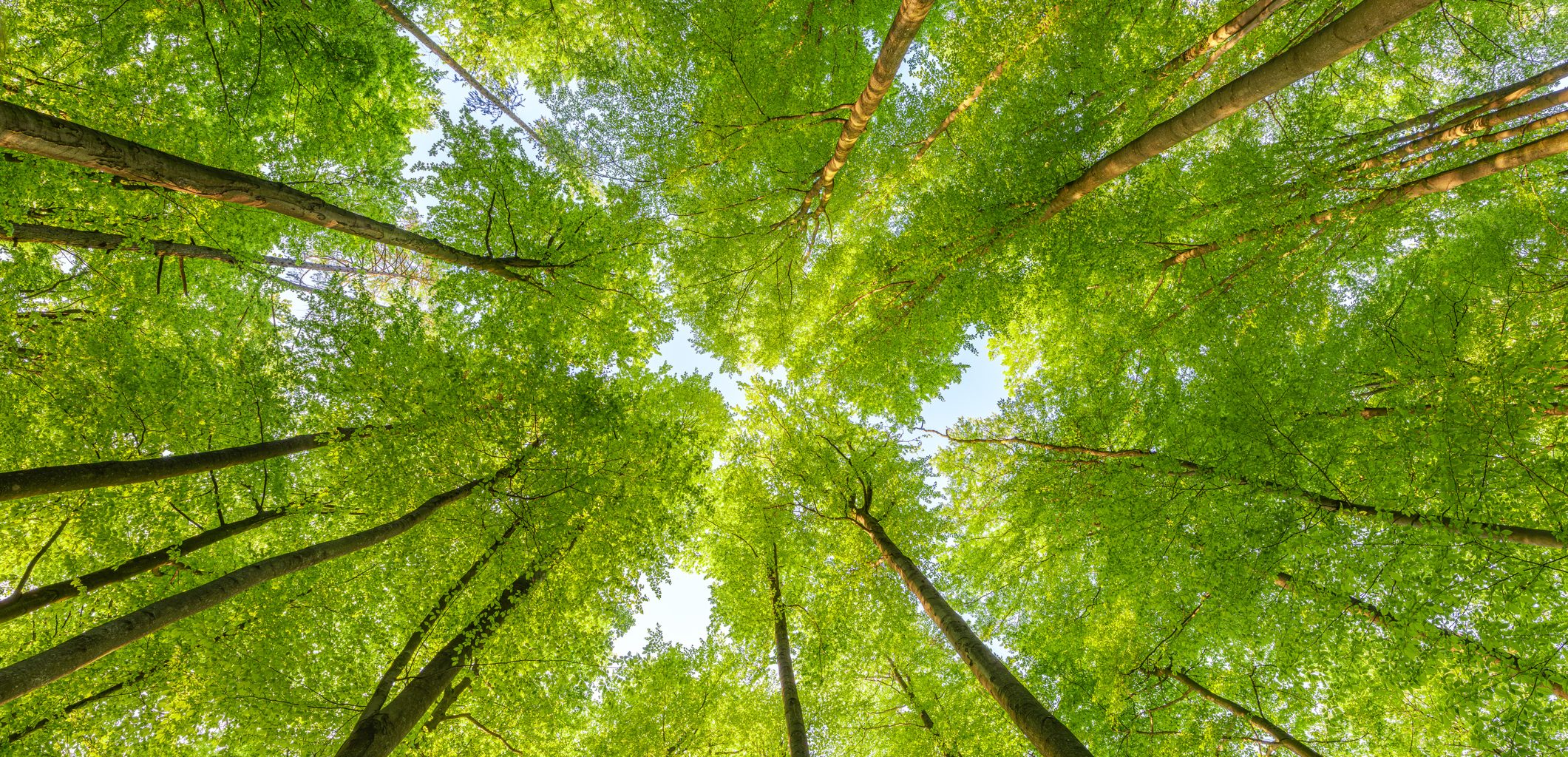 iStock-1659684092.jpg