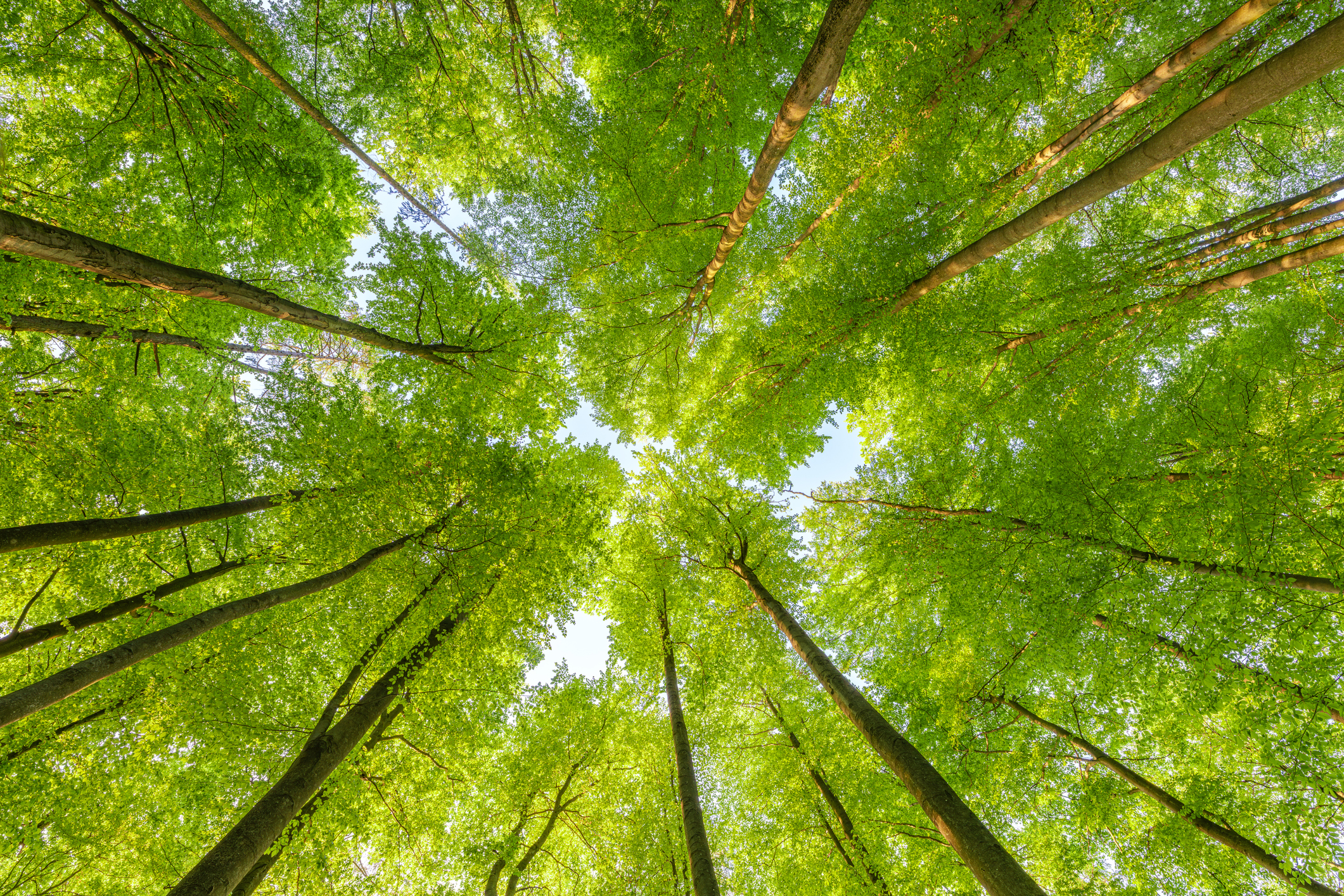 iStock-1659684092.jpg