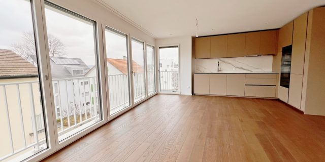 Wohnung Zürich 3_1_301