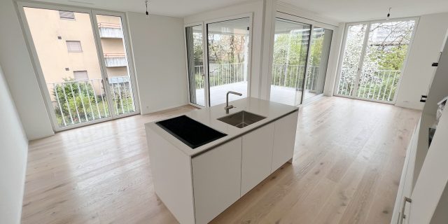 Wohnung Zug 1_1